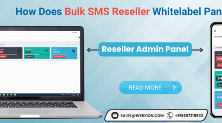 How Does Bulk SMS Reseller Whitelabel Panel Works