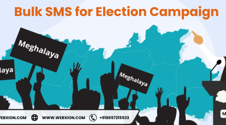 Bulk SMS for Election Campaign