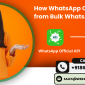 How WhatsApp Official API different from Bulk WhatsApp Marketing