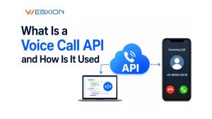 What Is a Voice Call API and How Is It Used